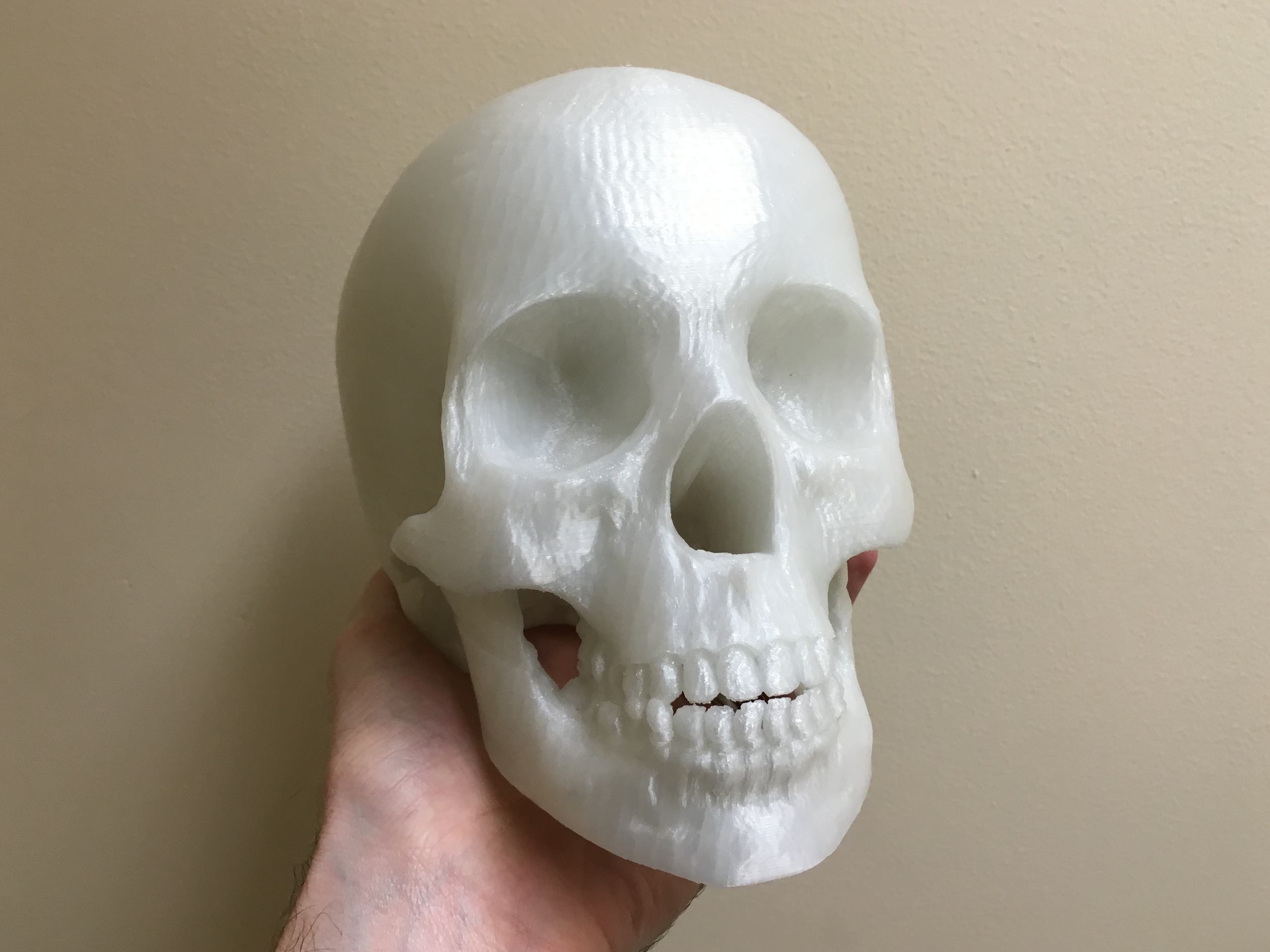 3D Printed Skull LR Design Build