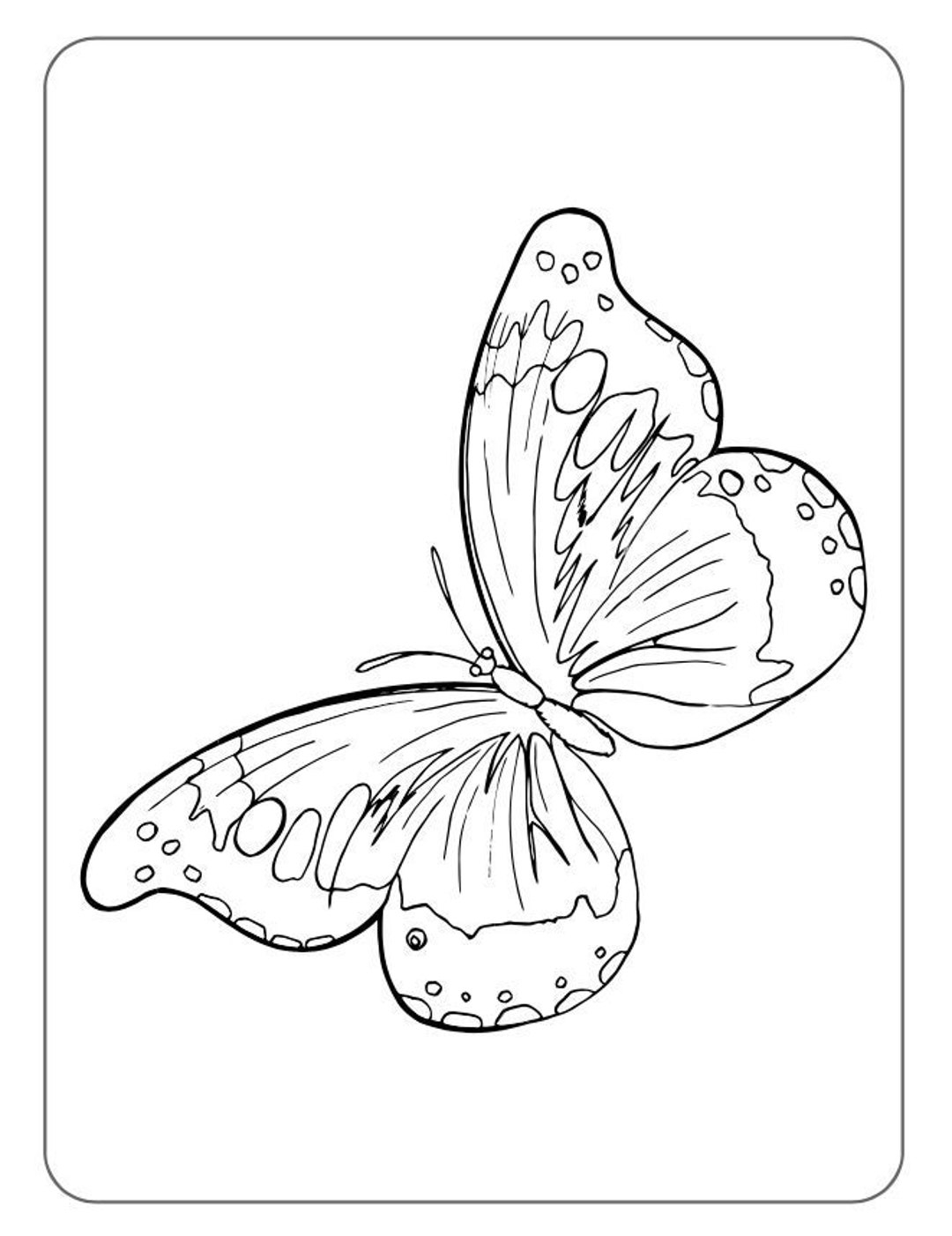 printable butterflies to color