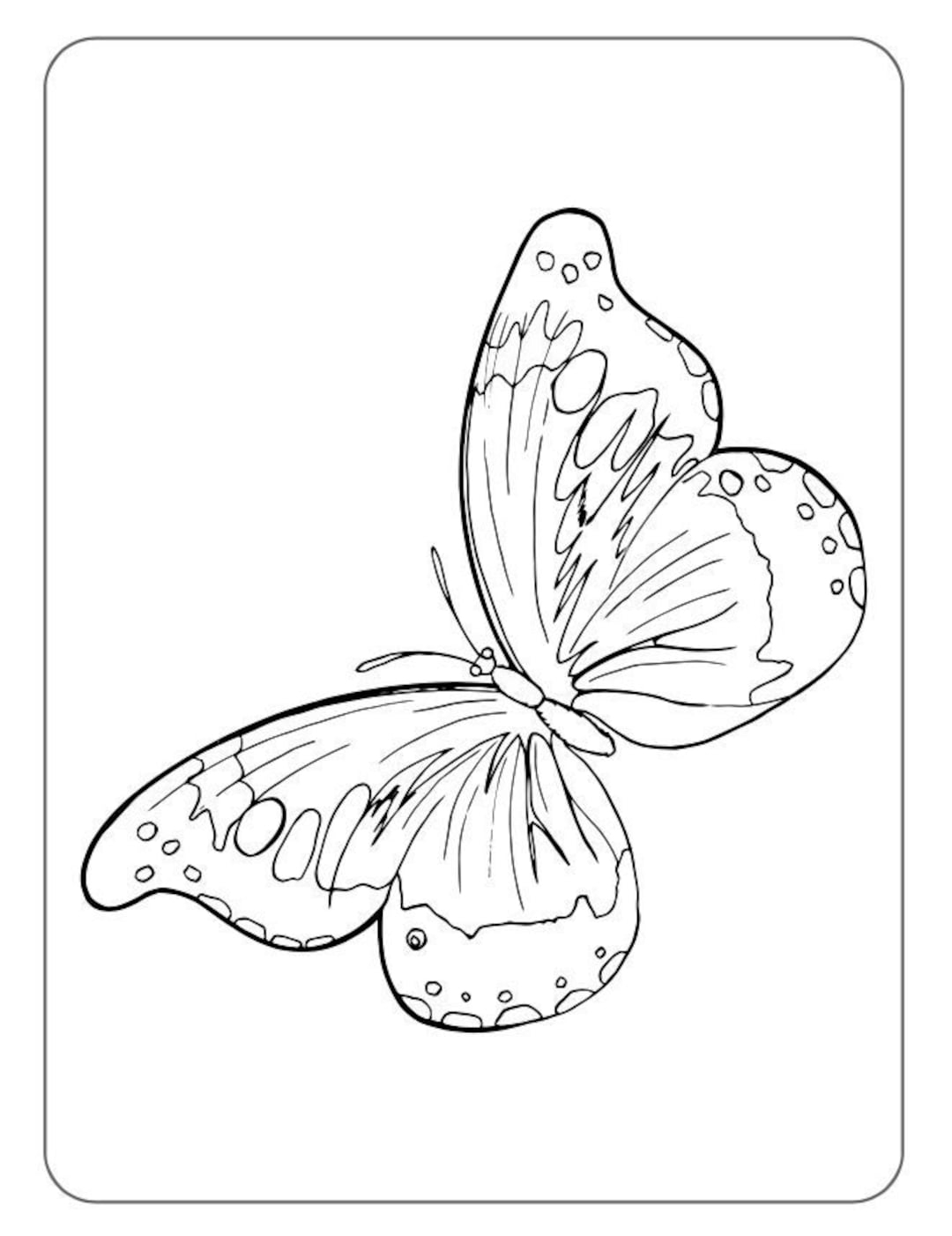 printable butterfly pictures to color