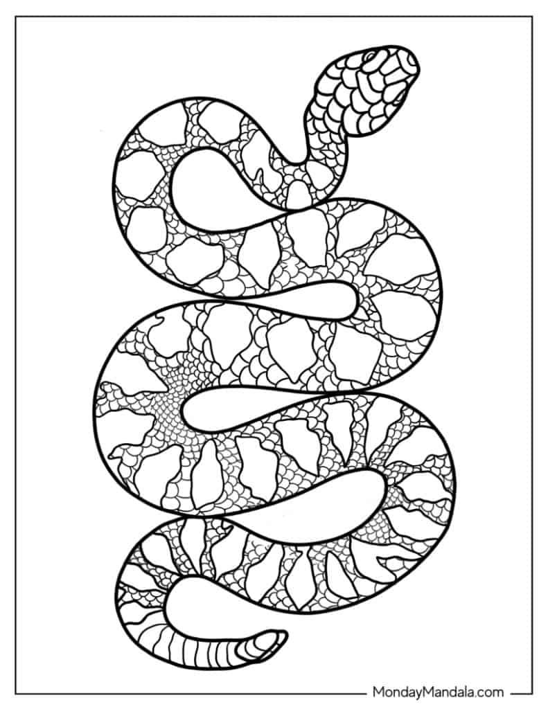 snake printable coloring pages snake printable coloring pages