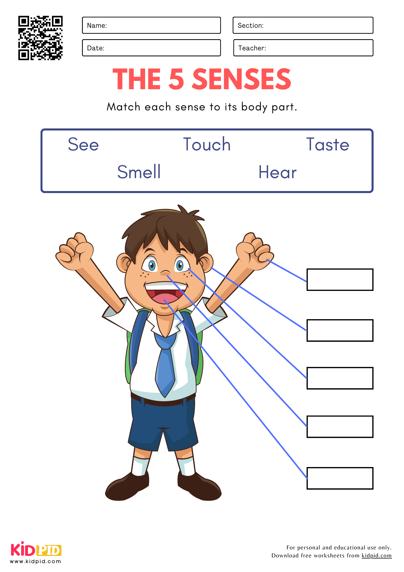 5 Senses Worksheet For Kindergarten Kidpid
