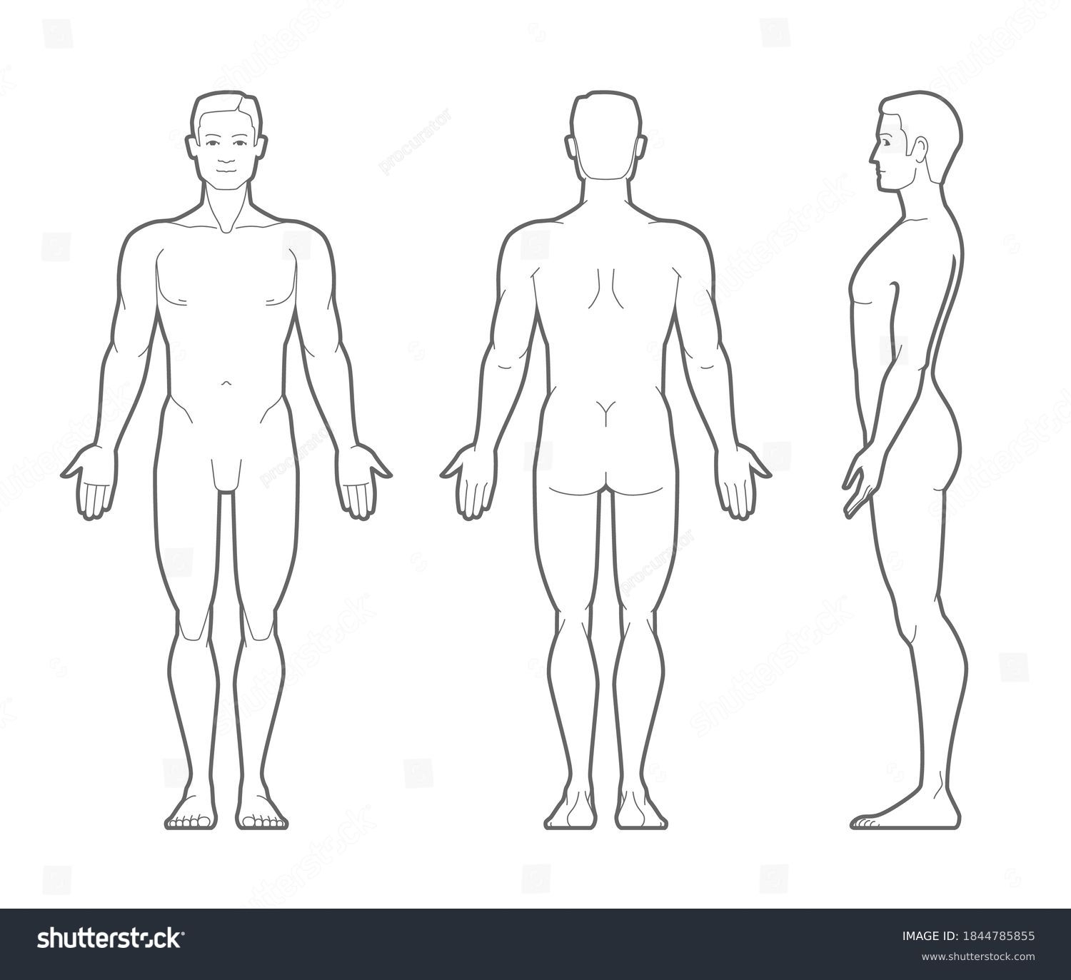 82 Thousand Male Body Outline Royalty Free Images Stock Photos Pictures Shutterstock