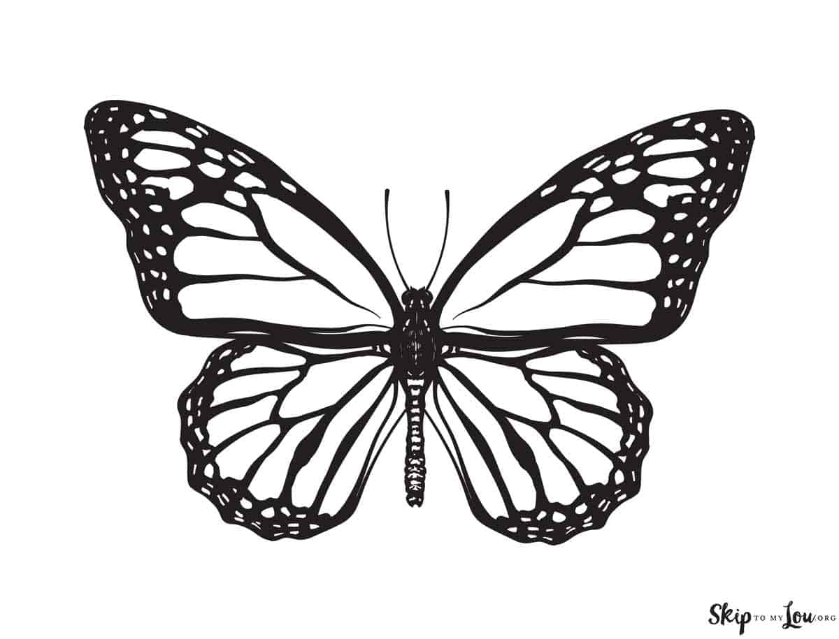 butterfly coloring pictures printable