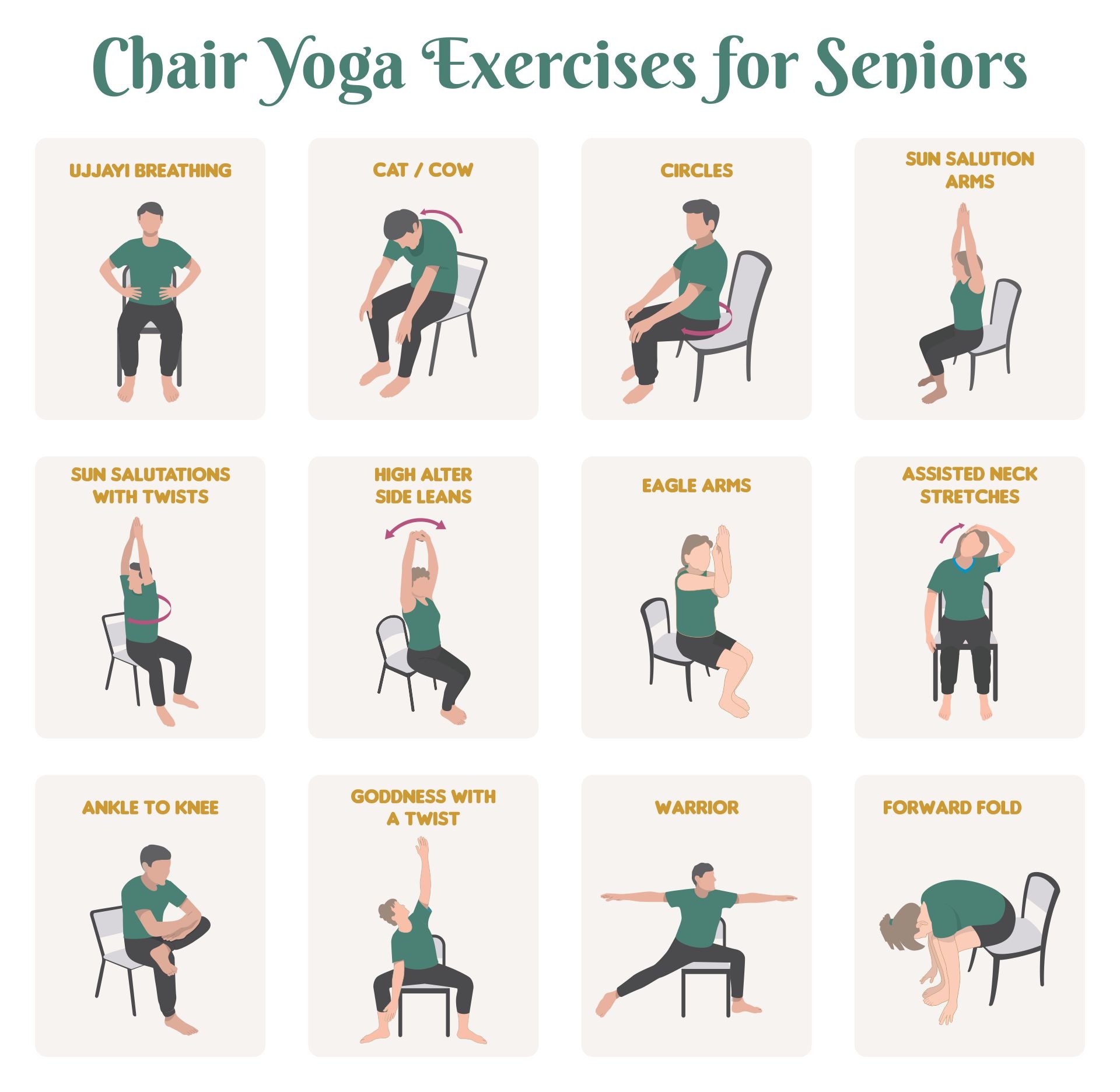 Chair Yoga Stretches For Seniors Store