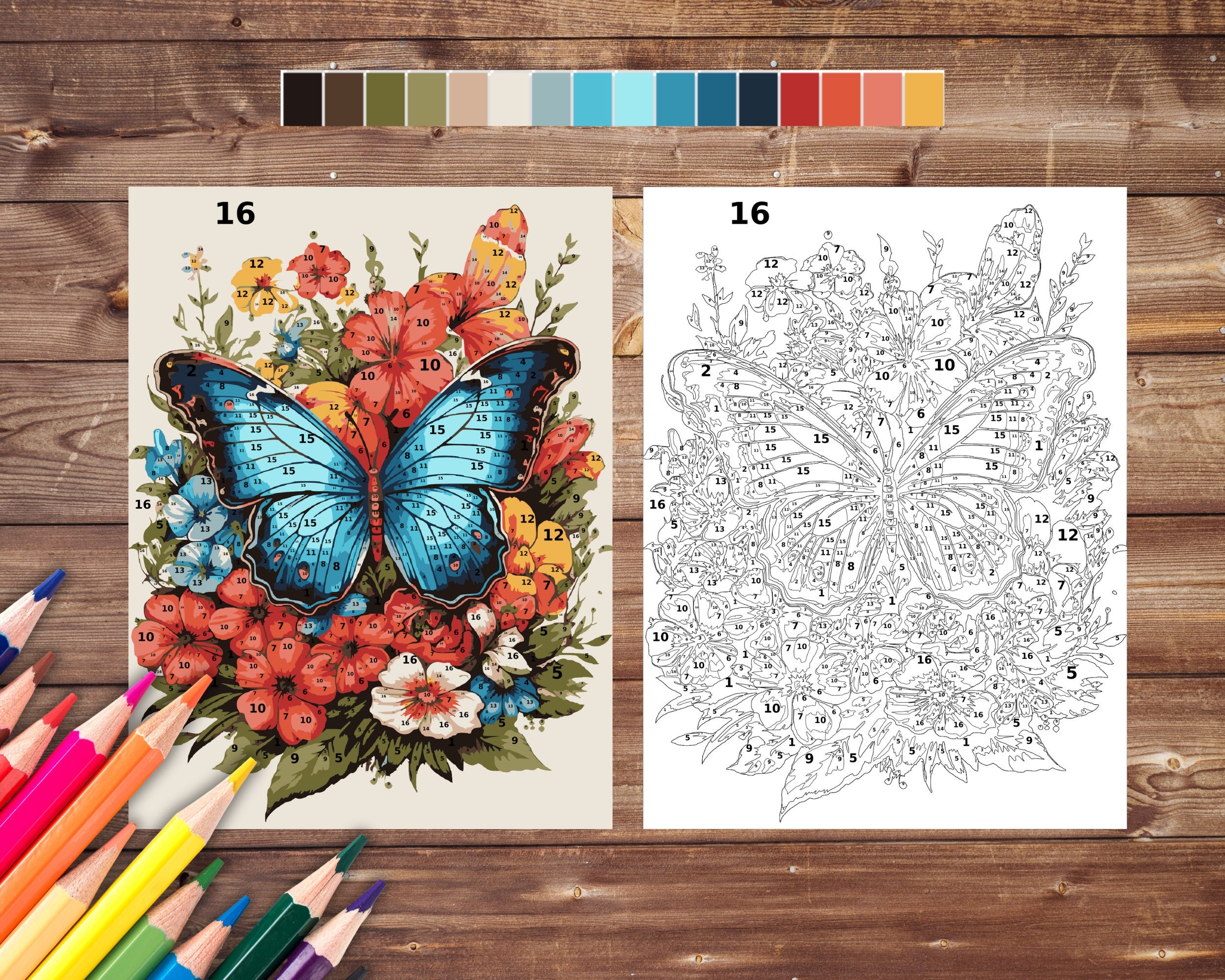 printable color by number for adults