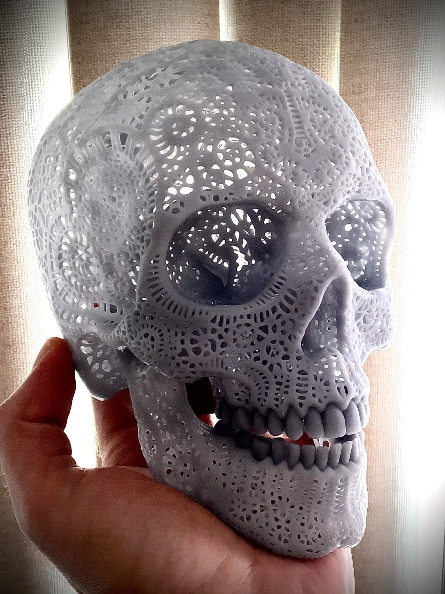 Filigree Anatomical Skull 3D Model By Droppingformdesigns