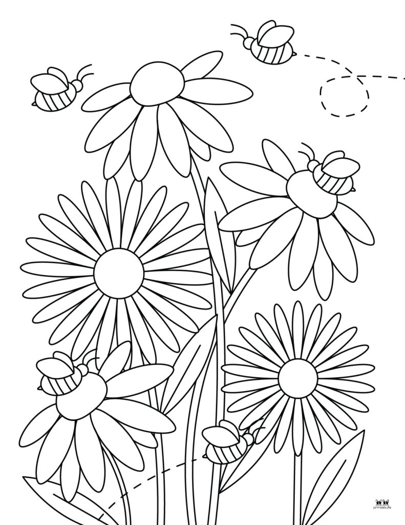 free printable flower pictures to color