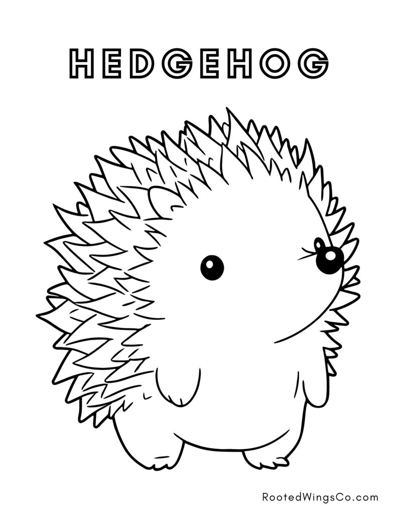 printable coloring sheets animals
