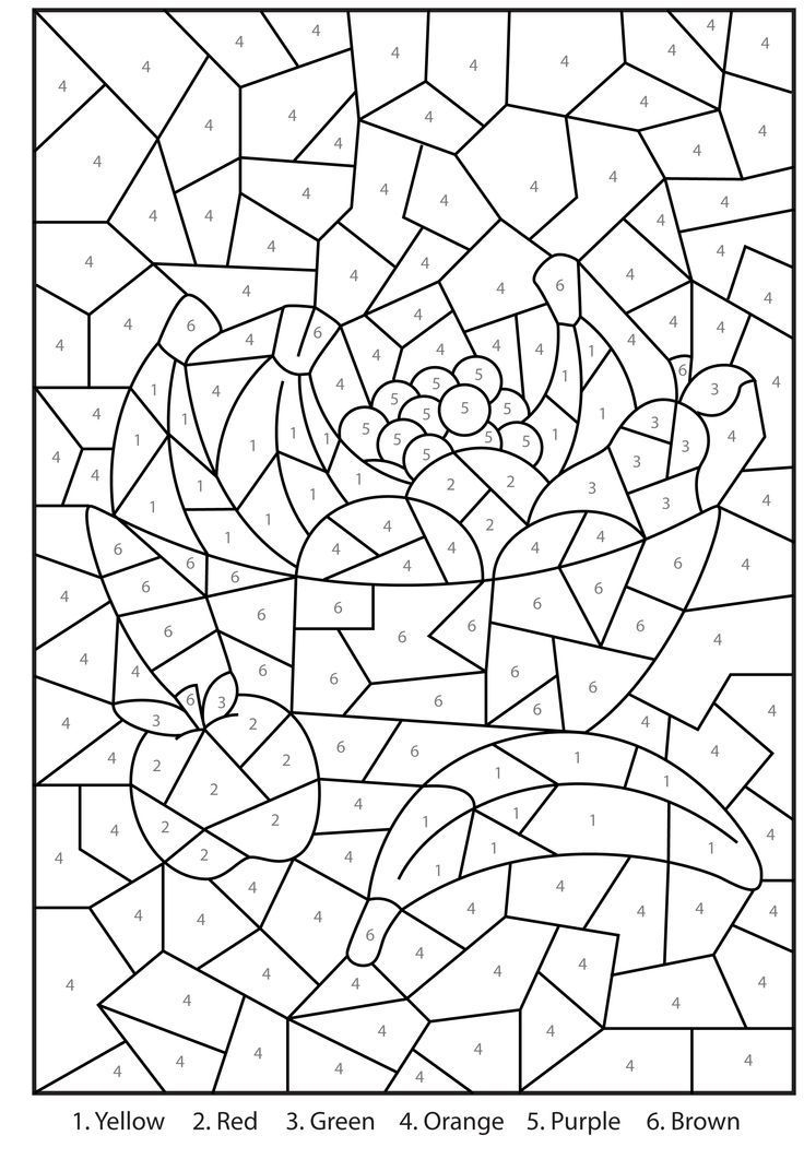 Free Printable Color Coloring Nation Pages