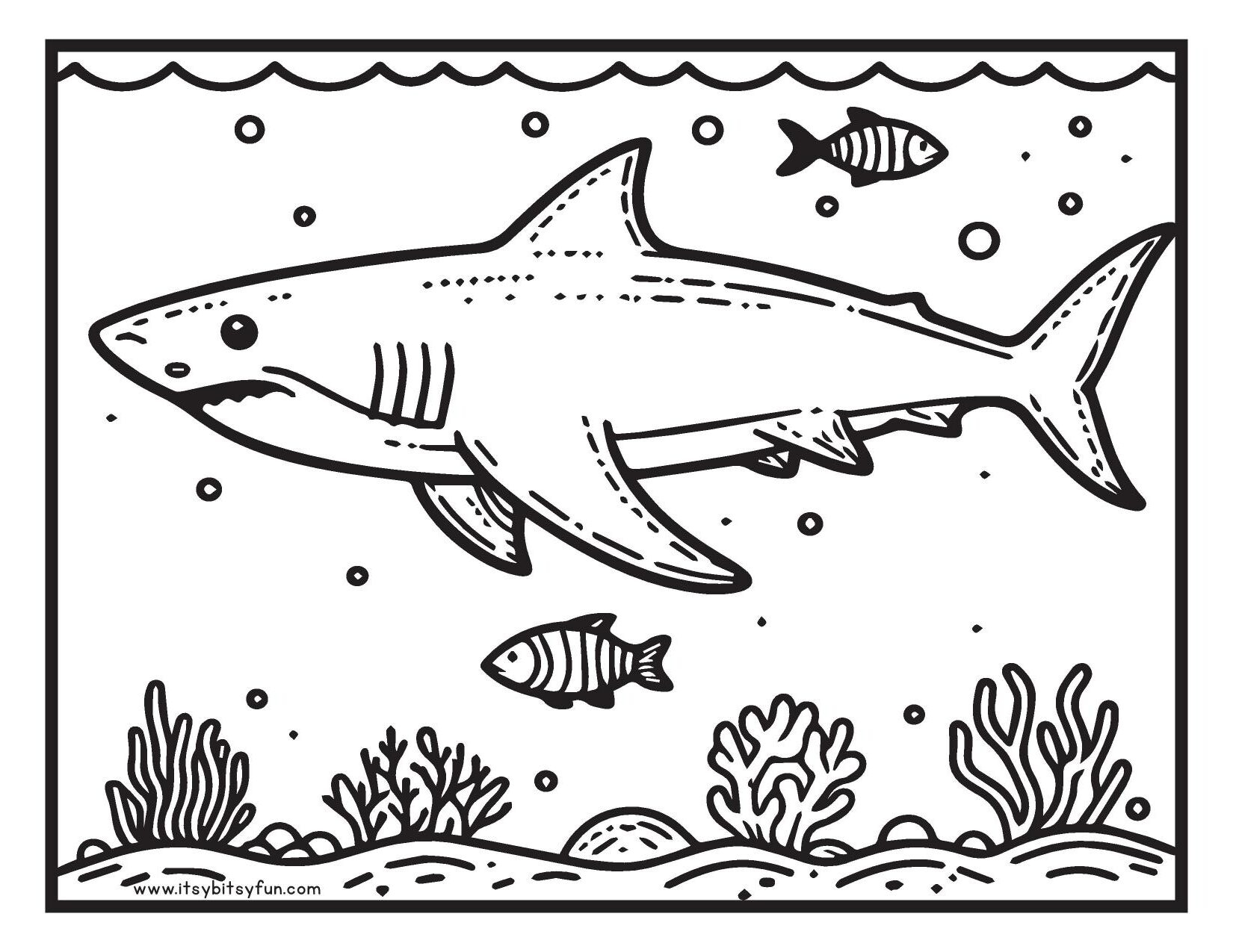 shark color pages printable shark color pages printable