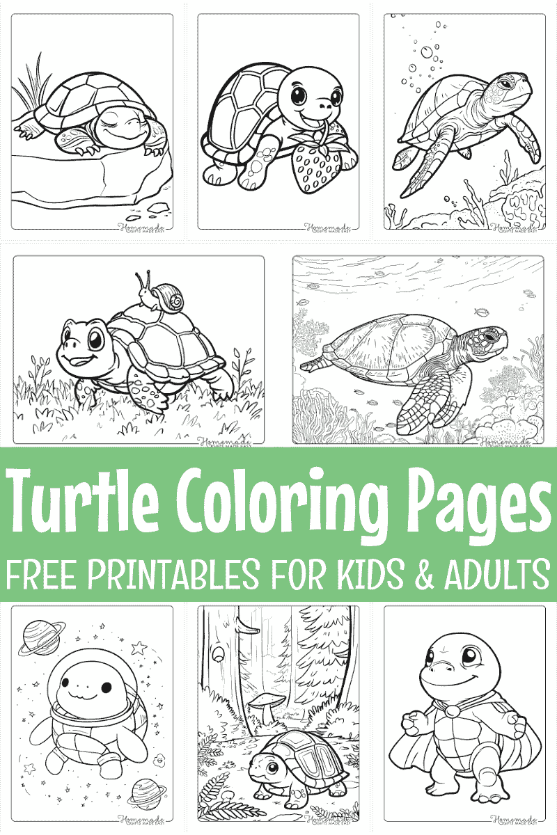 printable turtle coloring pages