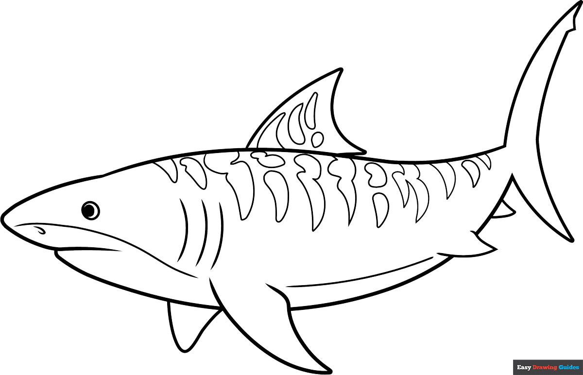 coloring pages of sharks printable