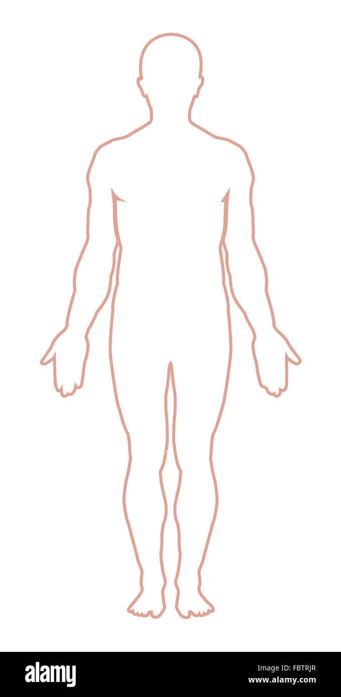 Human Body Outline Hi res Stock Photography And Images Alamy