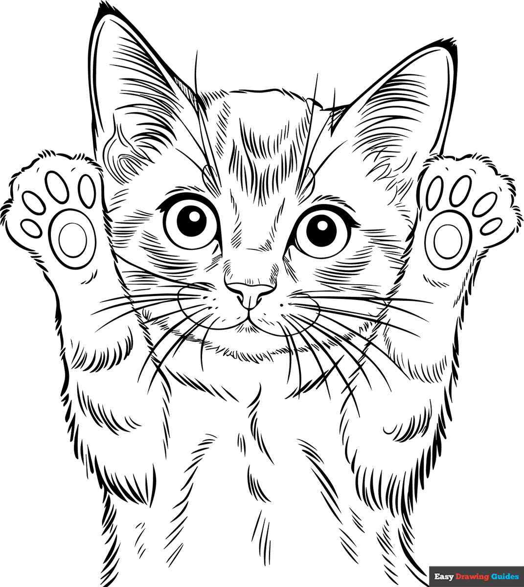 kitten printable coloring pages