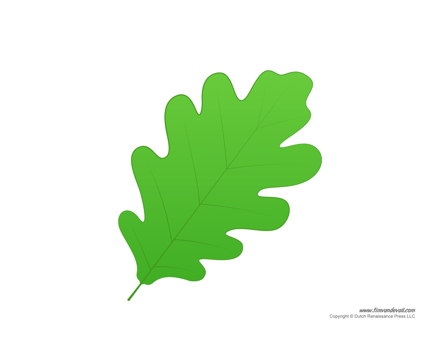colored leaves printable