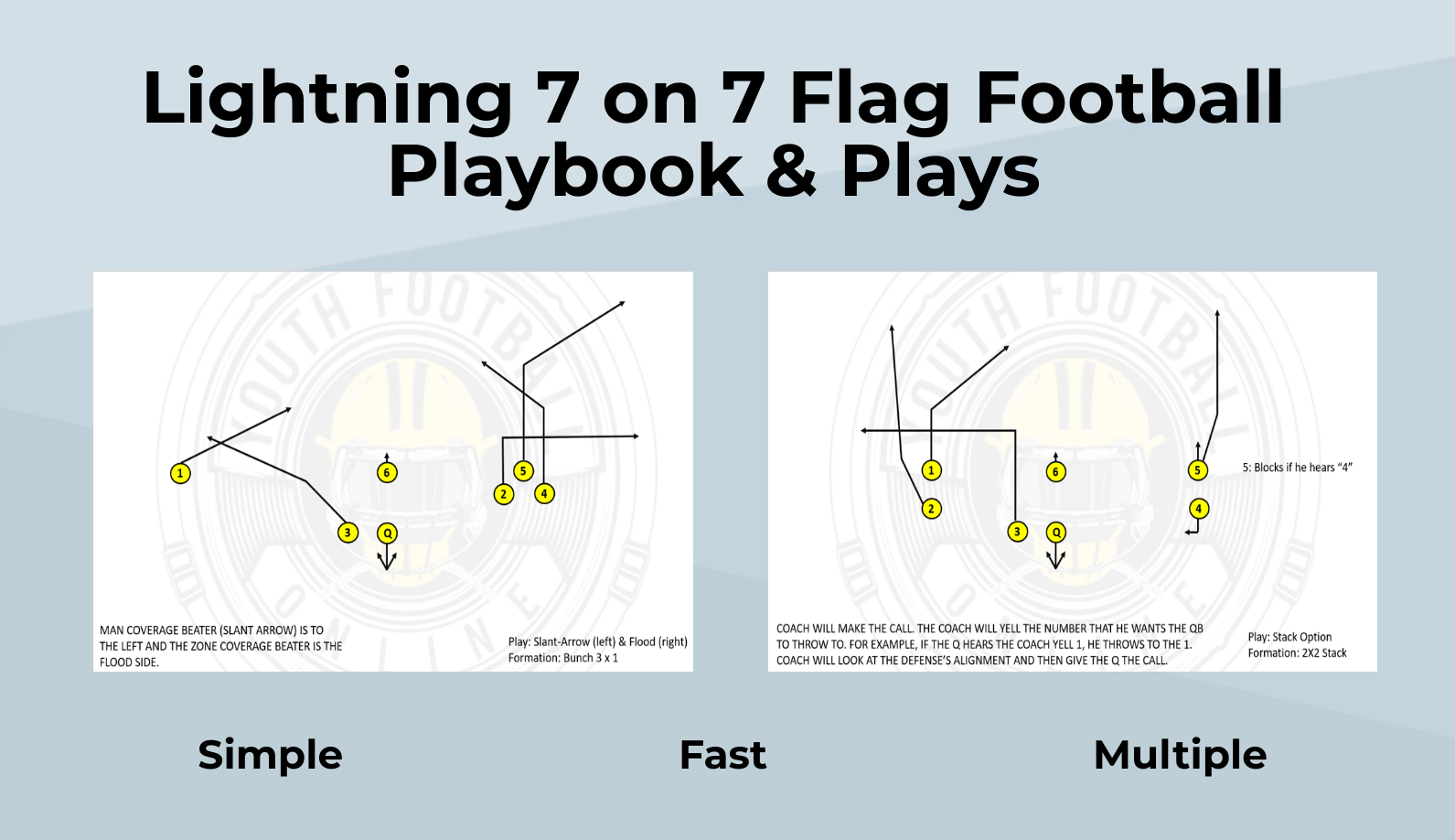 printable flag football plays