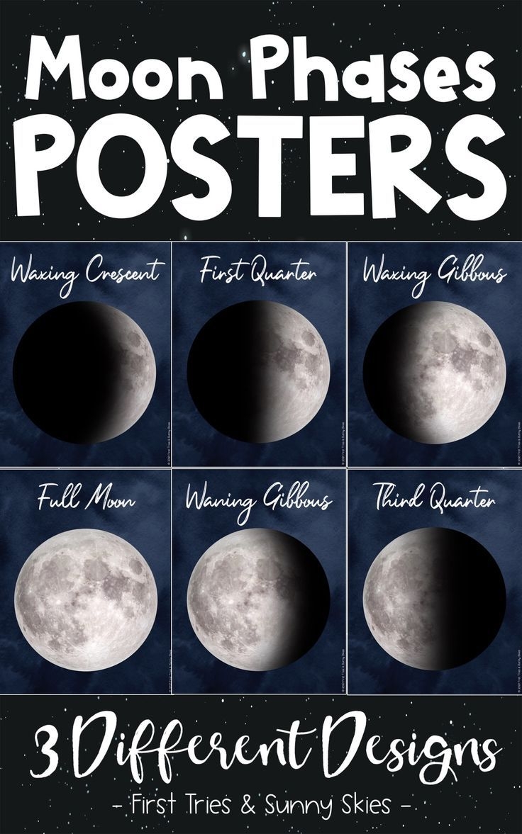 phases of the moon printable