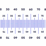 PD Ruler Guide with Printable PDF 