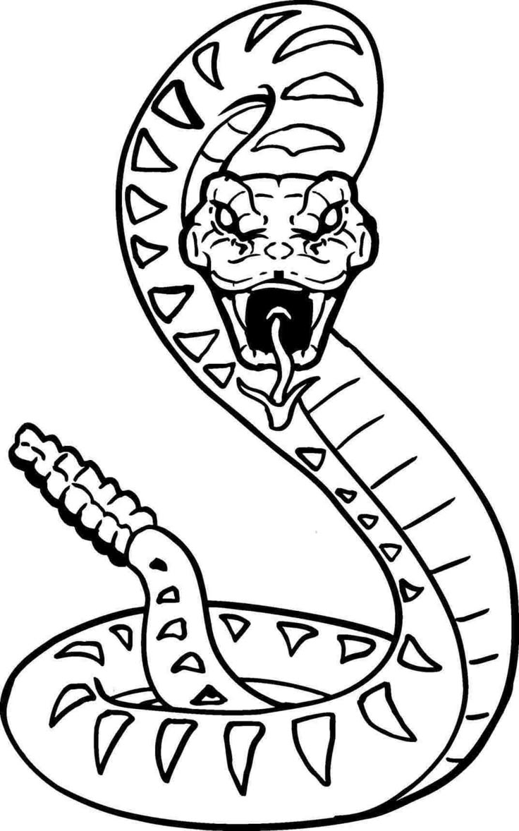 Pin By Momo On A Inspiration Tatts In 2025 Snake Coloring Pages Snake Drawing Printable