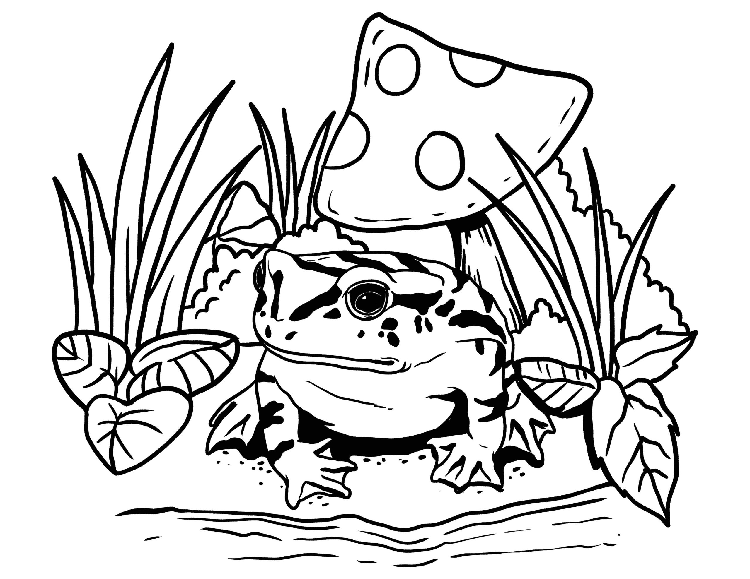 printable frog coloring pages printable frog coloring pages