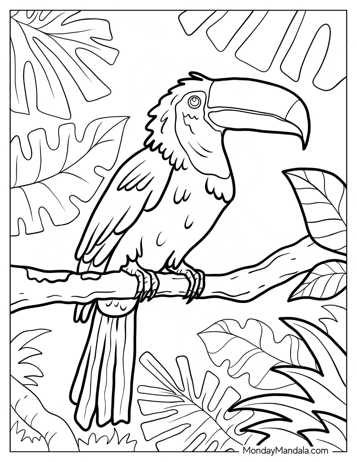 coloring pages of rainforest animals free printable