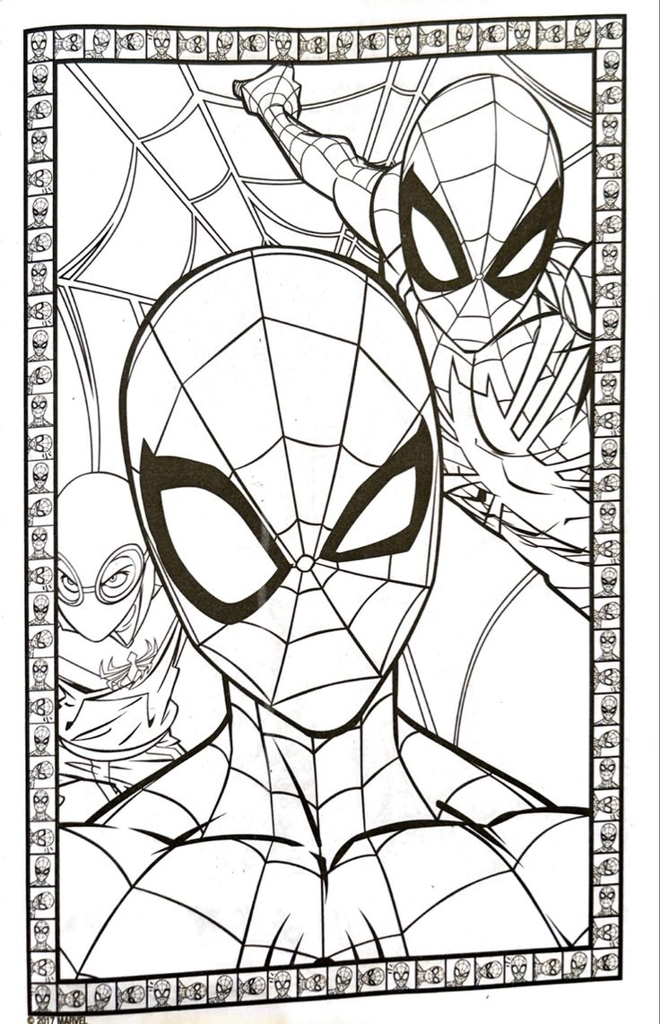 Spider Man